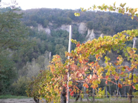 Clicca per Ingrandire